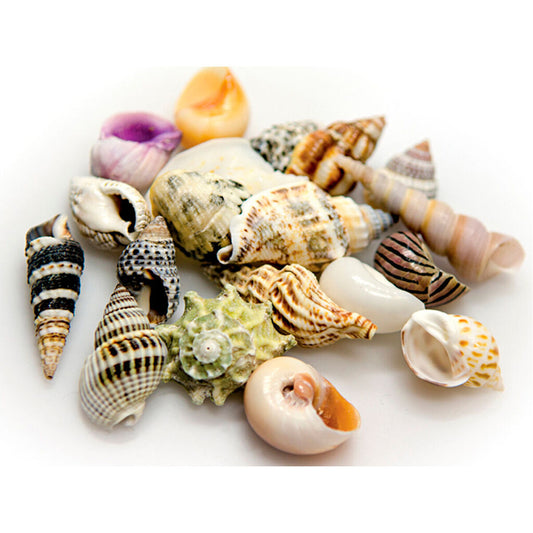 V7HADB3B098E360C1B103E6B1D205B0A762R7450839P1