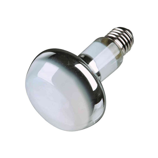 V5H58BDF30862FED68ED7FFB322ADD4CFB7R7444768P1