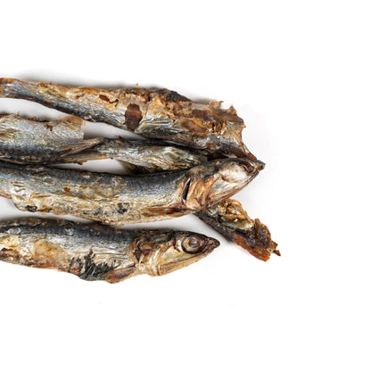 V3H00BD90004CA1ACB8B3E5341372CCF9C5R5293013P5