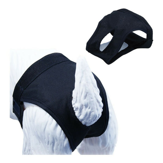 V10HD246687708464CA49B249A91153D798FR4268356P1